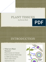 Реферат: Alternative Fuels Essay Research Paper Ken Frencher31999Chem